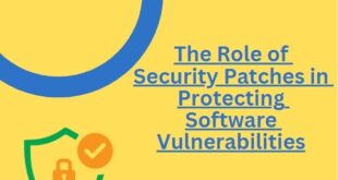 Role of Security Patches in Protecting Software Vulnerabilities